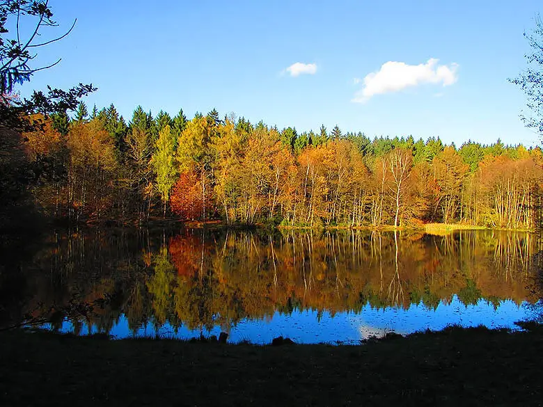 Tiergehege in Waldhau